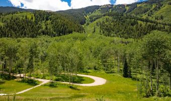640 S Hayden Rd, Aspen, CO 81611