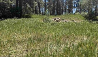 473 Alpine Forest Dr, Bayfield, CO 81122