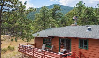 839 Ski Rd, Allenspark, CO 80510
