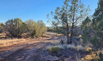 88- B Rose Ln, Ash Fork, AZ 86320