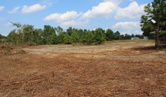 TBD CR 314, Henderson, TX 75652