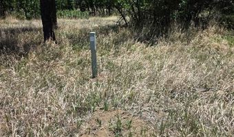 17775 County Road 51, Boncarbo, CO 81024