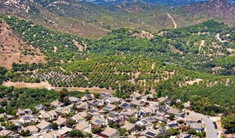 1973 Buckskin, Escondido, CA 92027