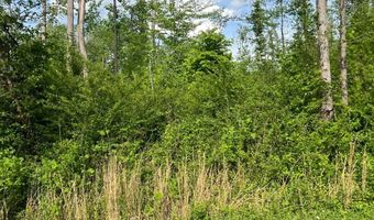 0 Gayle Bolin Rd, Albany, KY 42602