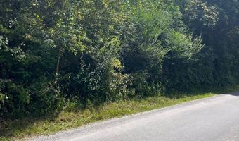 9 AC Lily Dale Rd, Allons, TN 38541