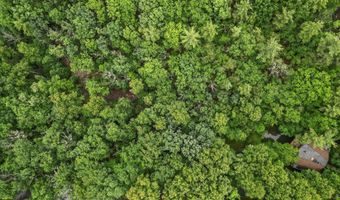 VALLEY VIEW ROAD, Basye, VA 22810