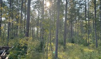 0 Pisgah Rd 4, Brandon, MS 39047