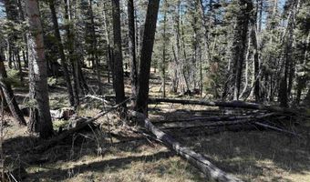 1451 El Camino Real, Angel Fire, NM 87710