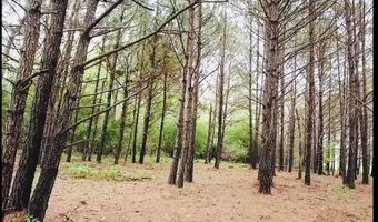 BRUSHY Ln, Arley, AL 35541