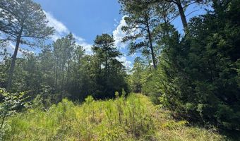 1324 Highway 81 N, Calhoun Falls, SC 29628