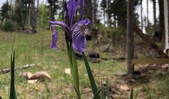 168 Mertz Pl Lot 65, Angel Fire, NM 87710