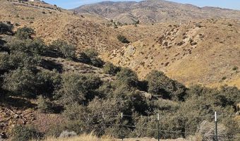 Richter Lane, Acton, CA 93510