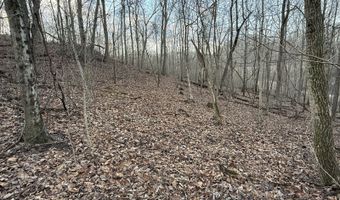 32598 Woodyard Rd, Albany, OH 45710