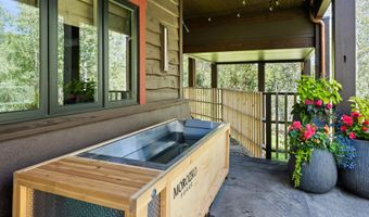 1271 Ute Ave, Aspen, CO 81611