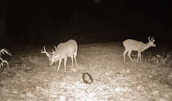 Franklin Dr, Batesville, MS 38606