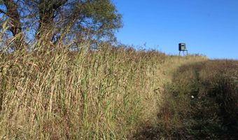 189 Th St, Albia, IA 52531