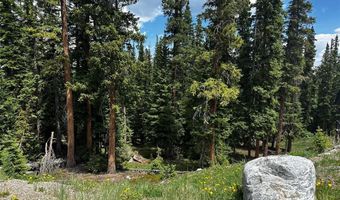584 Camron Ln Lot 6, Breckenridge, CO 80424