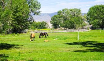 5479 Challis Creek Rd, Challis, ID 83226