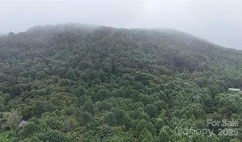 Killdevil Hill Lane unit 9 & 10 9 & 10, Bat Cave, NC 28792