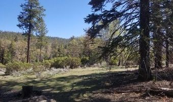Piute Pines, Caliente, CA 93518