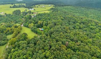 684 Mardis Point Rd, Baileyton, AL 35019