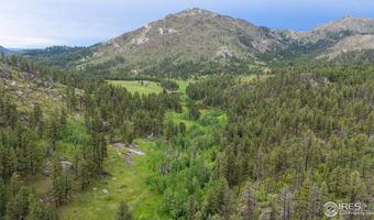 Old Flowers Rd, Bellvue, CO 80512