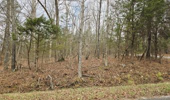 Ramblingwood Dr, Big Sandy, TN 38221
