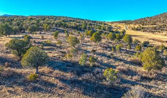 38 Copper Ridge Rd Lot 38, Alto, NM 88312
