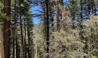 Lot 823 San Felipe Circle, Angel Fire, NM 87710