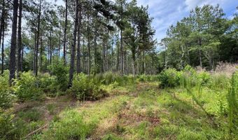 Fox Paw Court, Branchville, SC 29432