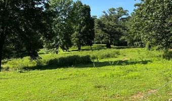 25 Loon Ln, Ball Ground, GA 30107