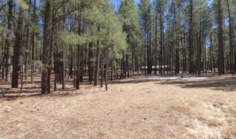 8 B County Road 2267 Escudilla Rd, Alpine, AZ 85920