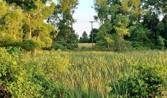 9250 92nd St SE, Alto, MI 49302