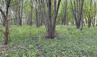 Arlington Street, Aredale, IA 50605