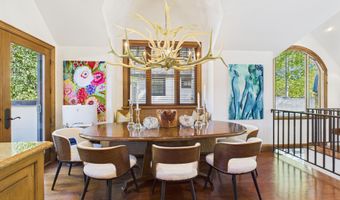 914 E Cooper Ave, Aspen, CO 81611