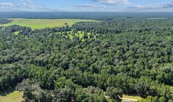 NW 218TH LANE, Alachua, FL 32615