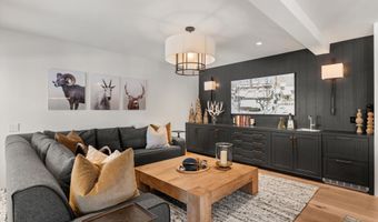 1271 Ute Ave, Aspen, CO 81611