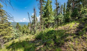 Vail Loop lot 400, Angel Fire, NM 87710