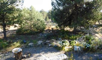 425 Carson Rd S, Carson, NM 87517