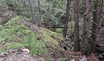 940 Sled Run Trl, Clark Fork, ID 83811