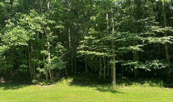3 Clear Fork Creek Rd 31, Bastian, VA 24314