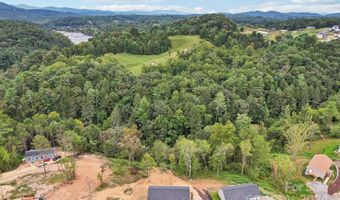 147 Indian Paintbrush Ln 39, Alexander, NC 28701