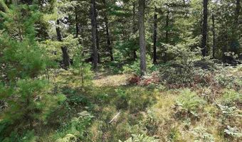 Lot 186 Winterset Drive, Alger, MI 48610