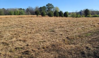 143 New Hope Rd, Big Sandy, TN 38221