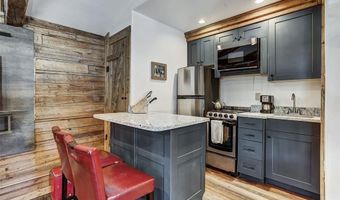 2585 COUNTY ROAD 12, Alma, CO 80420
