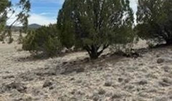 38 CR 8250, Concho, AZ 85924