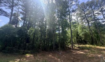 Point Caswell Road lot 16A, Atkinson, NC 28421