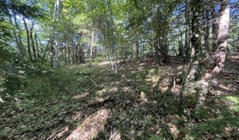 Birch View Drive lot # 0, Albany Twp., ME 04217