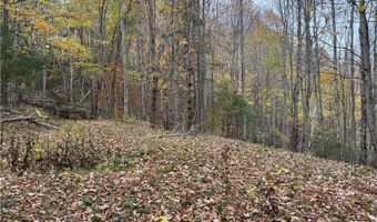 Tbd Rominger Road, Banner Elk, NC 28604
