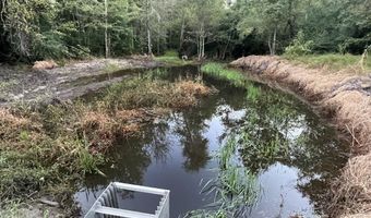 2152 Brogdon Rd, Alcolu, SC 29001